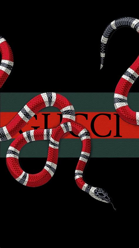 gucci snake wallpaper tumblr|cute gucci wallpapers.